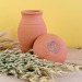 Olla arrosage naturel wholesaler