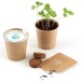 Cardboard cup with seeds, ecological object promotional