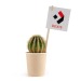 Product thumbnail Cactus in cardboard cup 2
