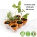Product thumbnail Mini recycled plastic greenhouse- Mon premier Jardin 4