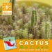 Cactus seeds in bags, Cactus promotional