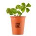 Product thumbnail Good luck message kit - 4-leaf clover 3