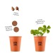 Product thumbnail Good luck message kit - 4-leaf clover 4