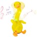Dancing Duck wholesaler