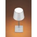 Desk lamp, desk lamp promotional