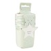 Gobelets festonnés 200ml vert pastel x8 wholesaler