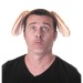 HEADBAND FOR LITTLE DOGGIE, headband promotional