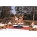 SET DE 6 DECORATIONS WOODLAND POUR GATEAUX, écureuil promotional