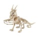 SQUELETTE DE DRAGON 35CM wholesaler