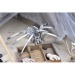 SPIDER SKELETON XXL wholesaler