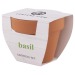 BASIL PLANT POT, Plant promotional