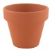 BASIL PLANT POT wholesaler