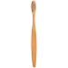 TOOTHBRUSH HABITAT, toothbrush and toothpaste promotional