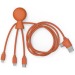 Mr Bio Long - Câble d'1M avec une double entrée type C/USB, câble de chargement promotional
