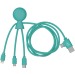 Mr Bio Long - Câble d'1M avec une double entrée type C/USB, câble de chargement promotional