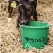 Product thumbnail 20L recycled bucket 2