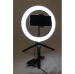 LED SELFIE RING WITH TRIPOD wholesaler