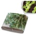 Product thumbnail Pop-up planting set - Thyme 0