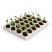 Product thumbnail Advent calendar to plant 3