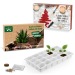 Calendrier de l'Avent à planter wholesaler