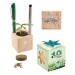 Pot cube boisde bureau en boite star-box - Bulbes de trèfle à 4 feuilles, trèfle à 4 feuilles promotional