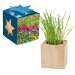 Product thumbnail Maxi wooden pot cube in star-box - Mixed summer flowers 0