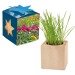 Pot cube bois Maxi en boite star-box - Mélange de fleurs d'été wholesaler