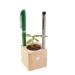 Pot cube bois de bureau - Bulbes de trèfle à 4 feuilles wholesaler