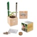 Pot cube bois de bureau - Bulbes de trèfle à 4 feuilles wholesaler