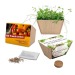 Mini Beet - 4-Leaf Clover Bulbs, four-leaf clover promotional