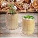Wooden mini barrel - Mixed summer flowers, barrel promotional