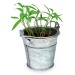Mini Metal Bucket - Four Leaf Clover Bulbs wholesaler