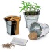 Mini Metal Bucket - Four Leaf Clover Bulbs wholesaler