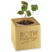 Pot cube bois mini avec bulbes de trèfle à 4 feuilles en boite Star-Box - sans gravure laser, trèfle à 4 feuilles promotional