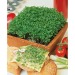 Mini wooden barrel - Cresson de jardin, barrel promotional