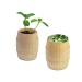 Product thumbnail Mini wooden barrel - Mélange d'herbes aromatiques 0