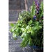 Mini wooden barrel - Mélange d'herbes aromatiques, barrel promotional