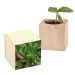 Product thumbnail Mini Christmas wooden cube pot - Spruce - Spruce 0