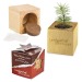 Product thumbnail Maxi Christmas wooden cube pot in star-box - Spruce 0