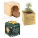 Maxi Christmas wooden cube pot in star-box - Spruce wholesaler