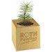 Mini wood cube pot with spruce seeds in Star-Box - Spruce wholesaler
