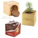 Pot cube bois mini avec graines d'épicéa en boite Star-Box - Epicéa wholesaler