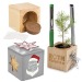 Product thumbnail Wooden cube desk pot in star-box - Spruce 0