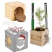 Wooden cube desk pot in star-box - Spruce wholesaler