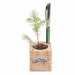 Pot cube boisde bureau en boite star-box - Epicéa wholesaler