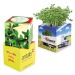 Cube à planter 2.0 - Bulbes de trèfle à 4 feuilles wholesaler
