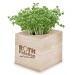 Cube à planter 2.0 - Bulbes de trèfle à 4 feuilles, trèfle à 4 feuilles promotional