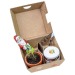 Christmas gift box - Clay pots, chocolate Father Christmas, Christmas tree moulds and a glass of orange jam wholesaler