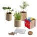 Pot rond en bois - Bulbes de trèfle à 4 feuilles, trèfle à 4 feuilles promotional