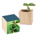 Pot cube - Bulbes de trèfle à 4 feuilles wholesaler
